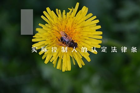 实际控制人的认定法律条文