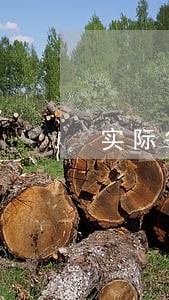 实际每月只还本金三千多 实际每月只还本金三千多