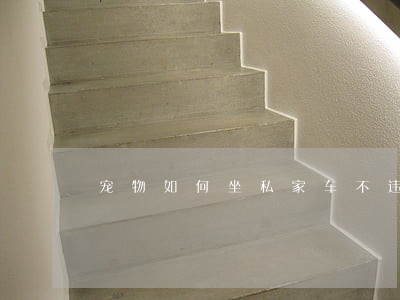 宠物如何坐私家车不违法 宠物如何坐私家车不违法