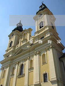 宠物狗没证没牵绳被压法院怎么判 宠物狗没证没牵绳被压法院怎么判
