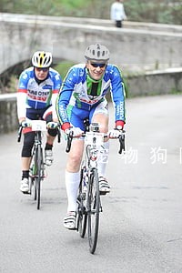 宠物狗随地小便违法 宠物狗随地小便违法