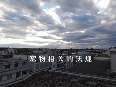 宠物相关的法规 宠物相关的法规