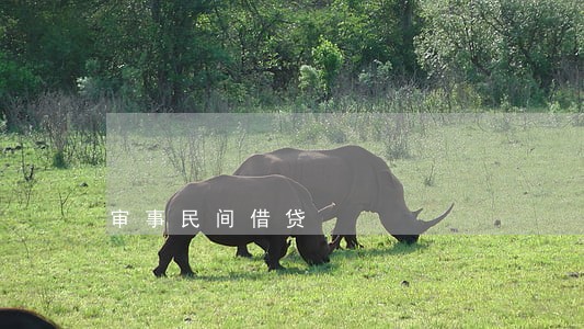 审事民间借贷 审事民间借贷