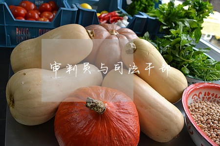 审判员与司法干部
