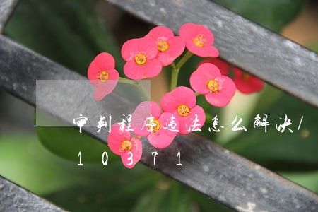 审判程序违法怎么解决/2023013110371 审判程序违法怎么解决/2023013110371