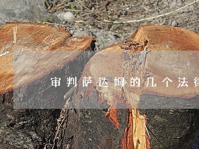 审判萨达姆的几个法律问题 审判萨达姆的几个法律问题