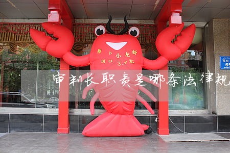 审判长职责是哪条法律规定的 审判长职责是哪条法律规定的
