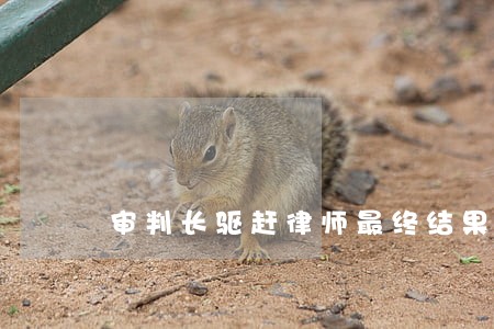 审判长驱赶律师最终结果 审判长驱赶律师最终结果