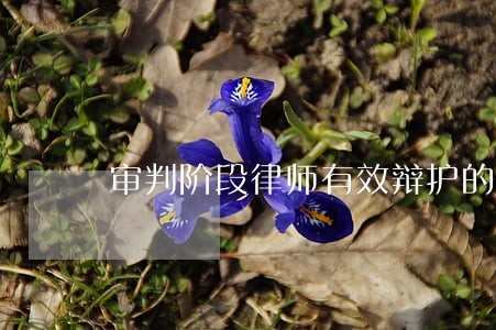 审判阶段律师有效辩护的实现