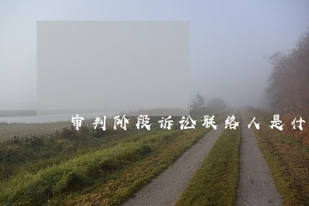 审判阶段诉讼联络人是什么意思 审判阶段诉讼联络人是什么意思