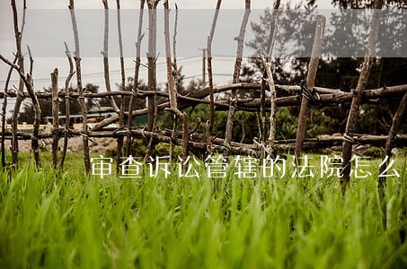审查诉讼管辖的法院怎么确定 审查诉讼管辖的法院怎么确定