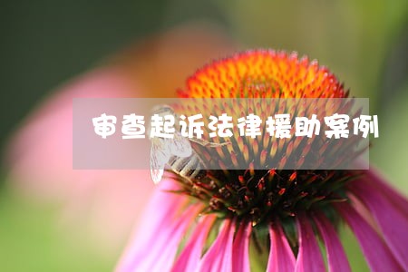 审查起诉法律援助案例 审查起诉法律援助案例