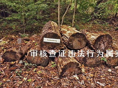 审核查证违法行为属实将处罚 审核查证违法行为属实将处罚