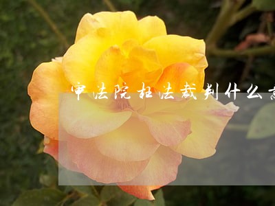 审法院枉法裁判什么意思