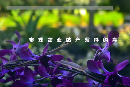 审理企业破产案件的序
