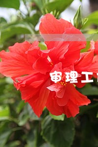 审理工作和纪委审理工作 审理工作和纪委审理工作