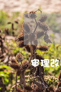 审理改制案件司法解释 审理改制案件司法解释