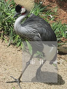 审计一个项目赚多少钱 审计一个项目赚多少钱