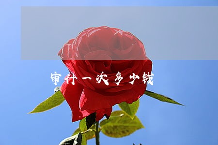 审计一次多少钱 审计一次多少钱