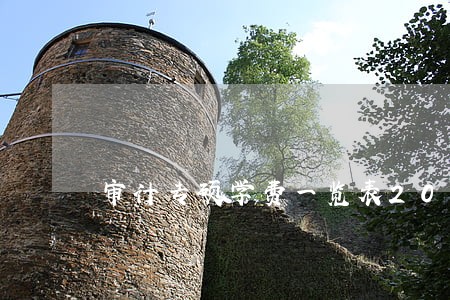 审计专硕学费一览表2020 审计专硕学费一览表2020