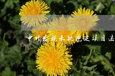 审计发现未批先建项目法律法规依据 审计发现未批先建项目法律法规依据