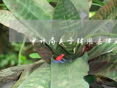 审计局关于聘用法律顾问的通知