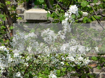 审计局法律顾问制度 审计局法律顾问制度
