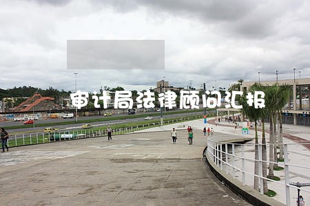 审计局法律顾问汇报 审计局法律顾问汇报