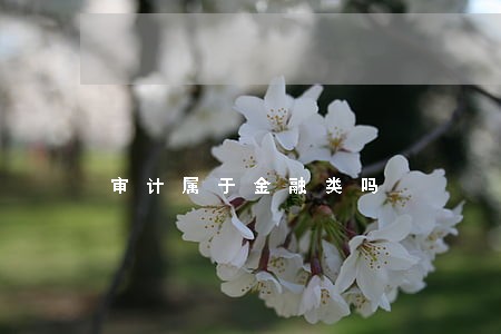 审计属于金融类吗 审计属于金融类吗