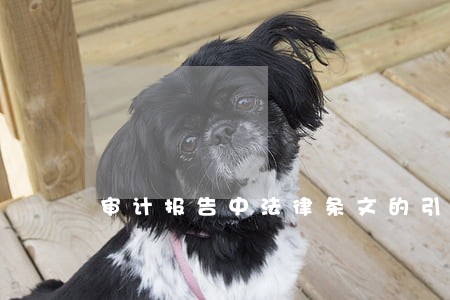 审计报告中法律条文的引用 审计报告中法律条文的引用
