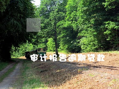 审计报告逾期贷款 审计报告逾期贷款
