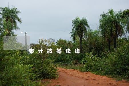 审计改革法律