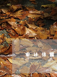 审计法属于民法商法 审计法属于民法商法