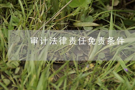 审计法律责任免责条件 审计法律责任免责条件