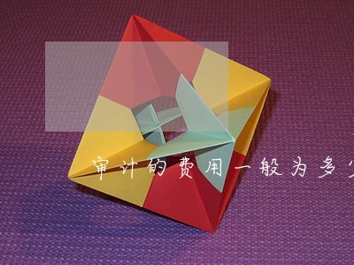 审计的费用一般为多少钱 审计的费用一般为多少钱