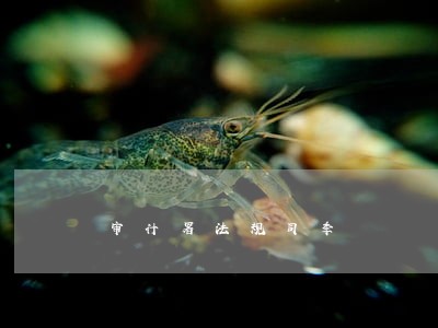 审计署法规司季 审计署法规司季
