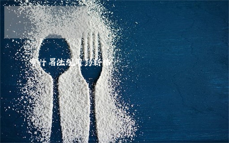 审计署法规司彭新林 审计署法规司彭新林