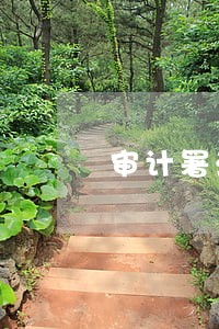 审计署法规司级别 审计署法规司级别