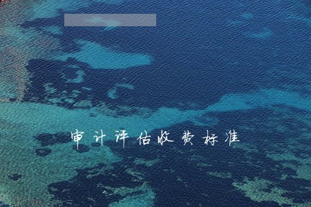审计评估收费标准 审计评估收费标准