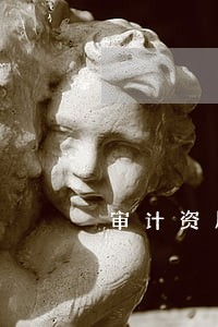 审计资质查询