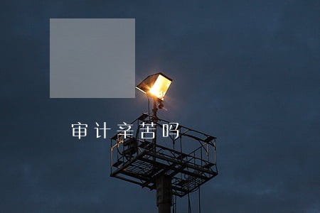审计辛苦吗 审计辛苦吗