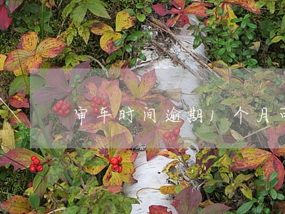 审车时间逾期1个月可以吗 审车时间逾期1个月可以吗