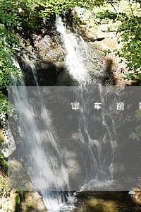 审车逾期半年2020 审车逾期半年2020