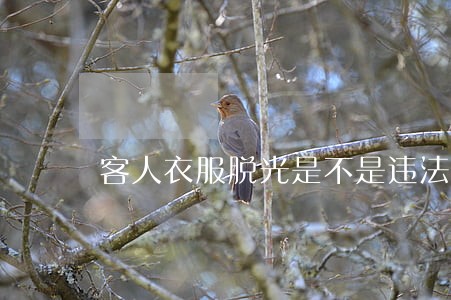 客人衣服脱光是不是违法的 客人衣服脱光是不是违法的