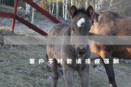 客户不付款请法院强制 客户不付款请法院强制