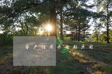 客户信用卡逾期原因