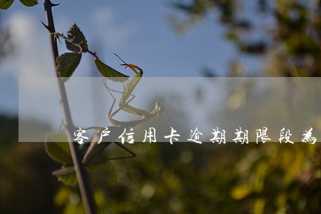 客户信用卡逾期期限段为N2 客户信用卡逾期期限段为N2