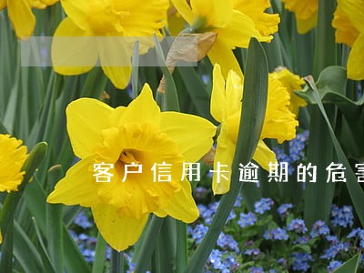 客户信用卡逾期的危害 客户信用卡逾期的危害