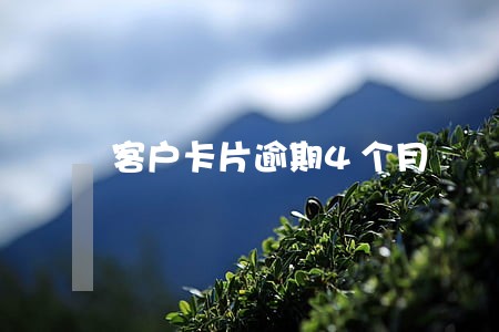 客户卡片逾期4个月 客户卡片逾期4个月