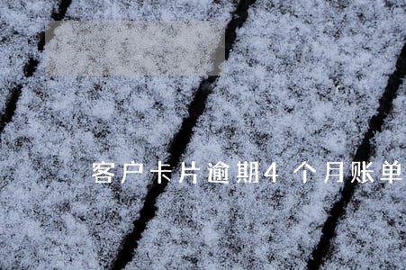 客户卡片逾期4个月账单18万 客户卡片逾期4个月账单18万